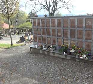 Friedhof Mittelzell