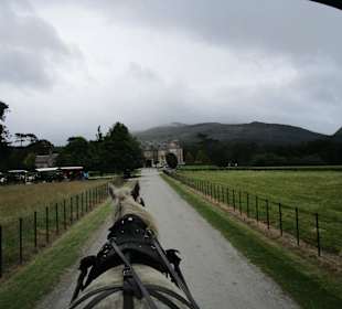 Pferdekutschenfahrten (Jaunting Cars)