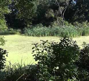 Berggarten
