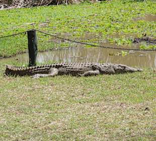 Shimba Hills National Reserve