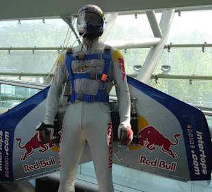 Felix Baumgartner Flügel