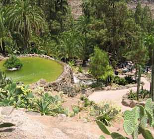 Palmitos Park - Gran Canaria - Maspalomas