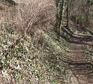 Wanderung Florianrunde