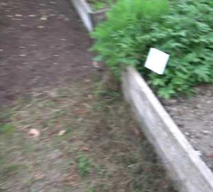 Klosterpark Altheim