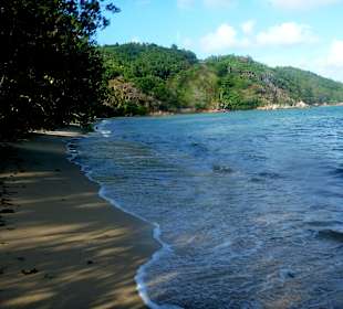 Anse Marie Luise Strand Badamier