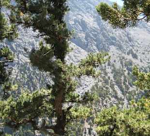 Ущелье Самарья