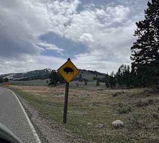 Yellowstone Nationalpark