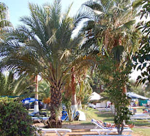 Liegewiese am Strand von Vanessa