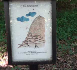 Ameisenlehrpfad Holzelfingen