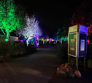 Herbstlichter Brückenkopfpark