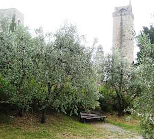 Kleiner Park mit Blick auf die Türme