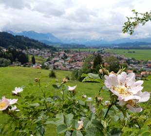 Grünten / Burgberger Hörnle