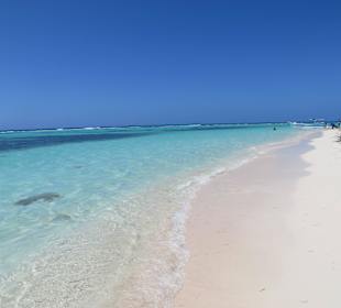Saone ist wirklich ein Traum wir waren fast allein