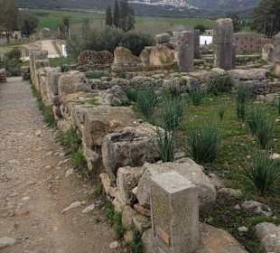 Ausgrabungsstädte Volubilis