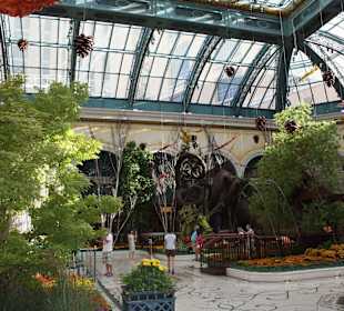 Botanischer Garten Bellagio