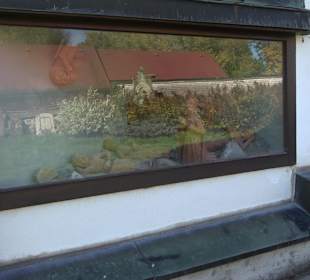 Maria in der Zarten
