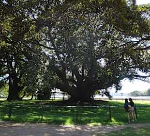Stadtrundgang Sydney