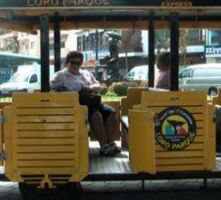 Mit dem Loro-Train auf direktem Kurs