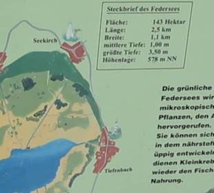 Federseesteg Bad Buchau