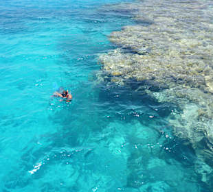 Schnorchelstopp am Riff