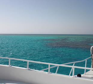 Bootstour zu den Delfinen