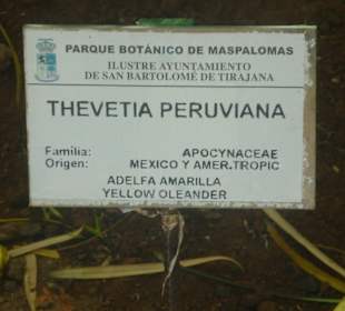 Im Parque de Botanico (Innenbereich)