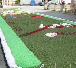 Alfombras florales Burela