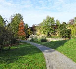 Rundgang durch den Botanischen Garten Osnabrück