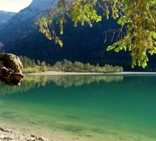Türkisblaues Wasser "mit Hund"