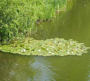 Parkanlage Planten un Blomen