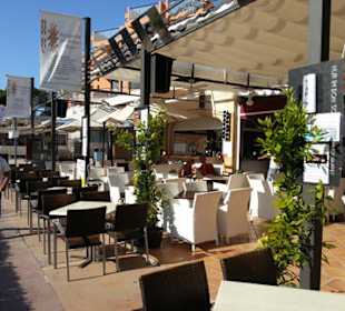 Bon Sol im neuen Outfit