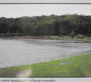 Flacher See im Winter möglich