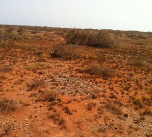 Landschaft