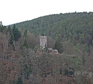 Burg Erfenstein