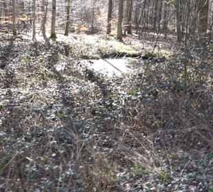 Historischer Rundwanderweg Aichtal