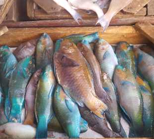 Fischmarkt in Sekalla