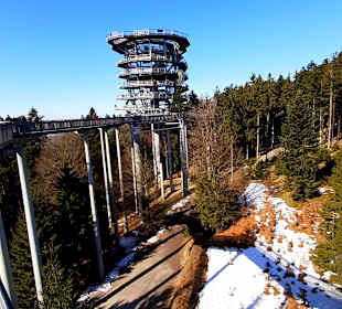Waldwipfelweg St Englmar/Maibrunn