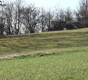 Spielplatz Holzacker