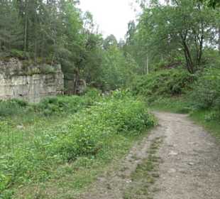 Schutzgebiet Spitzberg, Pfaffenberg