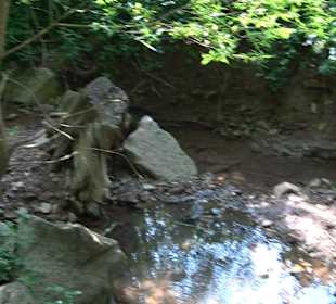 Rundwanderung Klingenbachtal - Sulzbachsee
