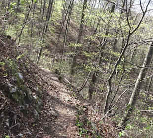 Wanderweg Hochgehkämpft