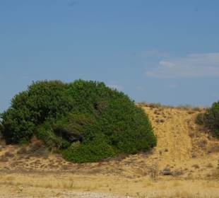Die Dünen entlang am Strand