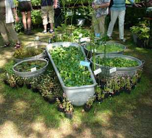 Zinkwannen dekoriert