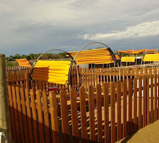 Für läufige Hündinnen