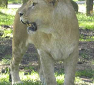 Serengeti Park Hodenhagen