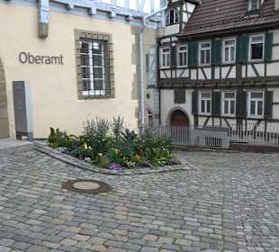 Skulpturenpfad Jerg Ratgeb