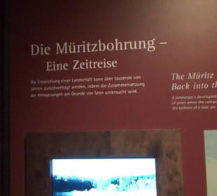 Müritzeum