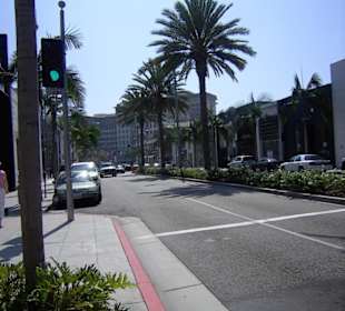 Rodeo Drive
