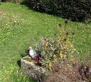 Brunnenhaus Upfingen