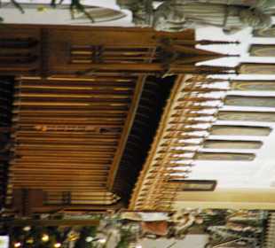 Am Altar Sitze